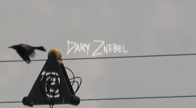Dary Znebel joins Slingshot